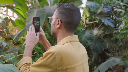 一个男人用智能手机录制温室里的植物的视频 · 免费素材视频