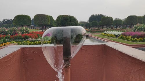 有喷泉的美丽花卉园 · 免费素材视频