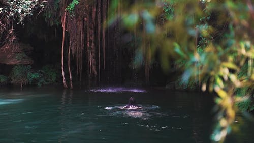 有关人, 天性, 户外的免费素材视频