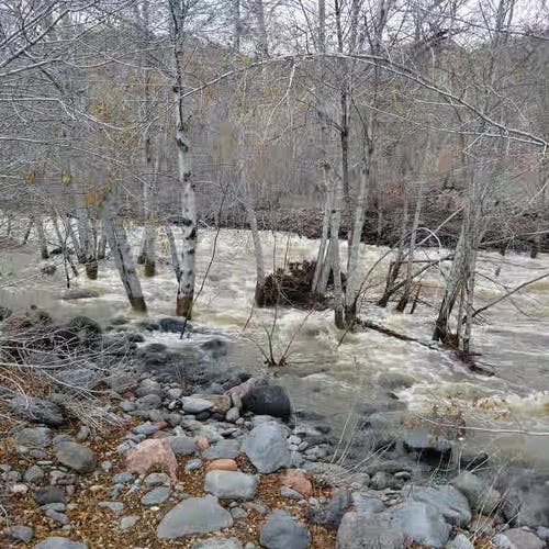 有关天性, 户外, 日光的免费素材视频