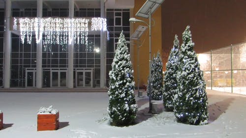 积雪覆盖的街与圣诞树 · 免费素材视频