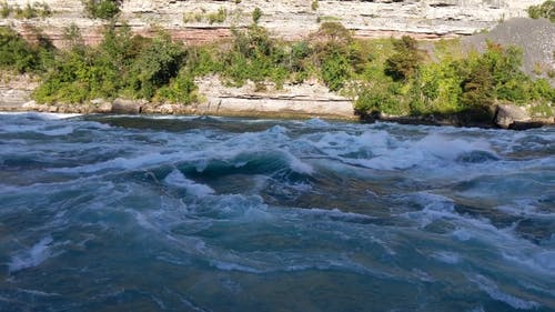 白天流河视频 · 免费素材视频
