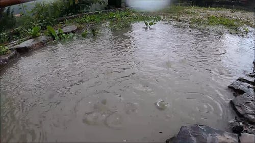 有关下雨, 下雨天, 坏心情的免费素材视频