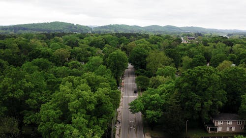 有关城镇, 从上面, 树木的免费素材视频