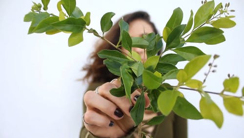 关闭显示植物的女人的镜头 · 免费素材视频