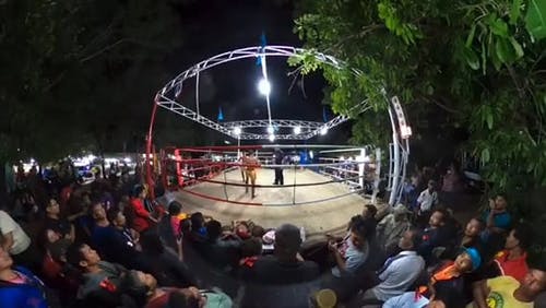 有关人群, 孩子, 对打的免费素材视频