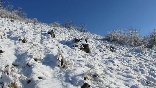 白雪覆盖的山坡 · 免费素材视频