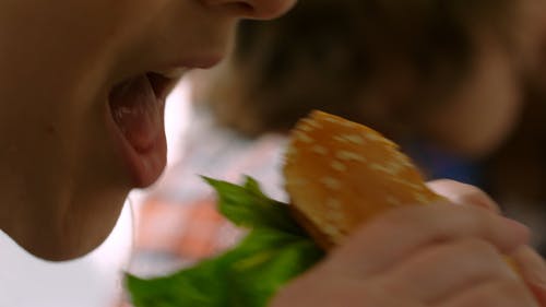 汉堡三明治大咬一口 · 免费素材视频