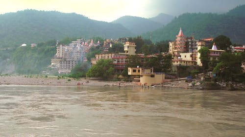 有关ganga河, 印度, 天性的免费素材视频
