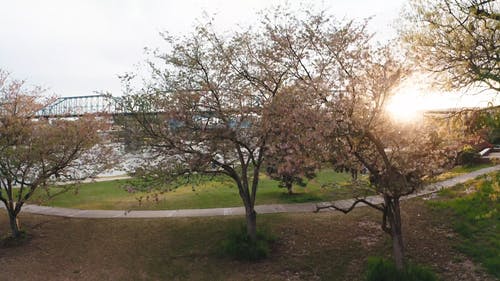 有关公园, 城市, 太阳的免费素材视频