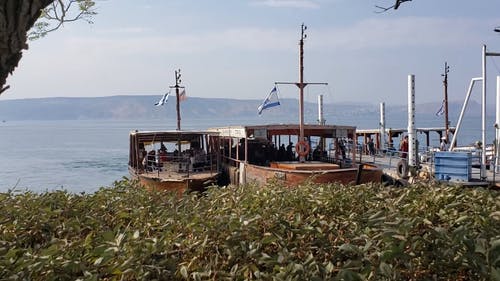 有关下船, 乘客, 以色列国旗的免费素材视频