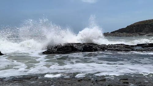 有关iphone xr, 夏天, 天性的免费素材视频