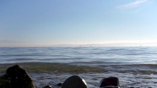 有关冷静, 地平线, 天性的免费素材视频