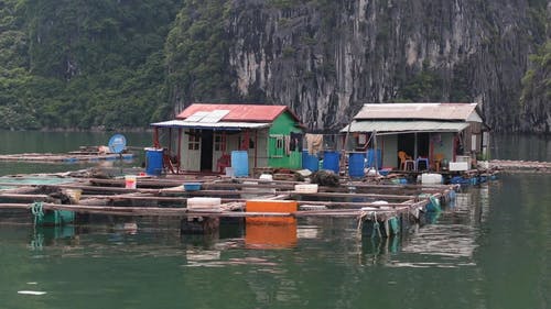 湖上鱼笔看守的浮动房屋 · 免费素材视频
