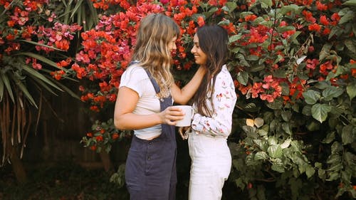 同性恋夫妇在花园里甜蜜有趣的时刻 · 免费素材视频