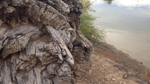 有关天性, 工厂, 户外的免费素材视频