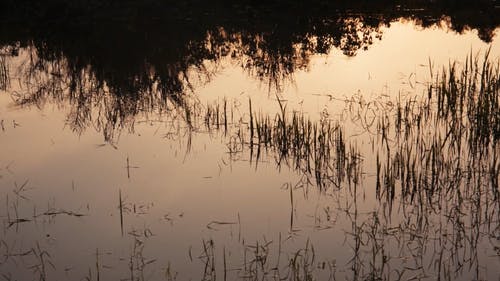 有关不清楚, 反射, 工厂的免费素材视频