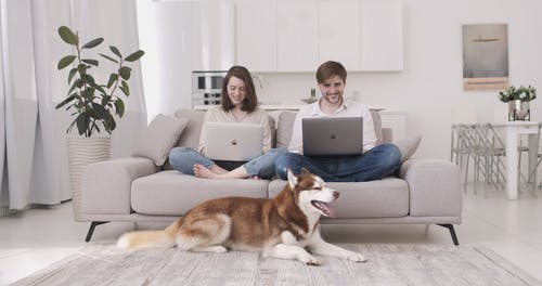 有关一对, 互联网, 人的免费素材视频