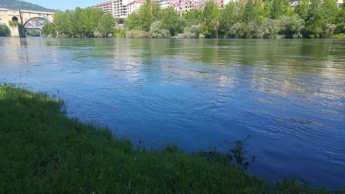 有关户外, 日光, 树木的免费素材视频