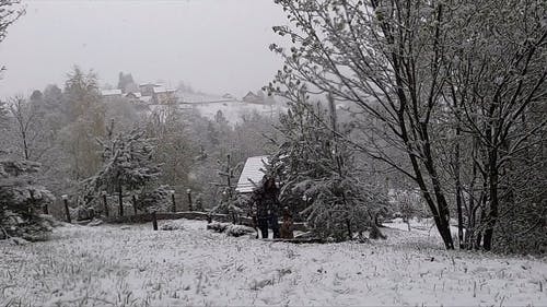 有关下雪, 享受, 低角度拍摄的免费素材视频