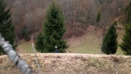 一个女人和她的宠物狗一起上山 · 免费素材视频