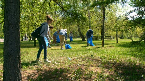 一群人在公园里捡垃圾 · 免费素材视频
