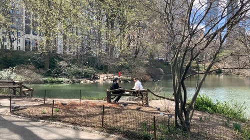 有关中央公园, 人, 休闲的免费素材视频