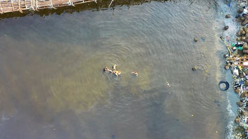 人们在肮脏的海水里游泳 · 免费素材视频