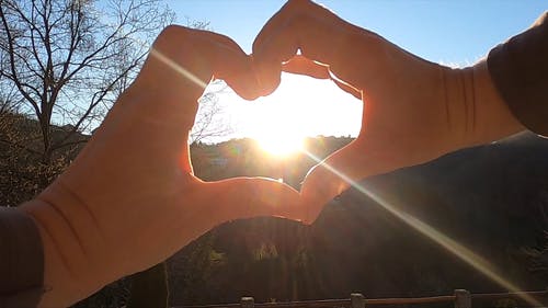 有关天性, 心, 户外的免费素材视频