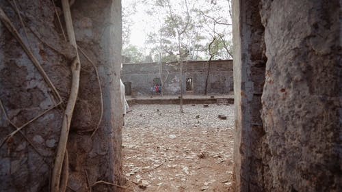有关利亚纳, 印度, 大榕树的免费素材视频