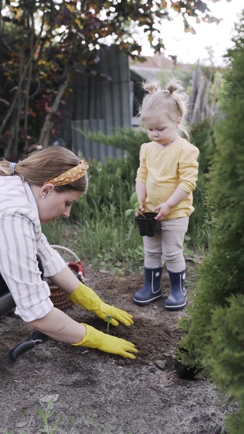 有关facebook的故事, instagram故事, youtube故事的免费素材视频