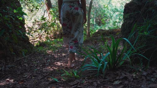 有关天性, 女人走路, 岩石的免费素材视频