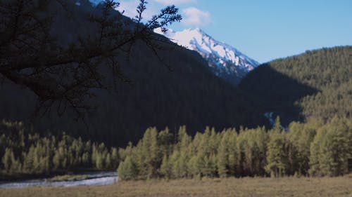 有关天性, 山, 户外的免费素材视频