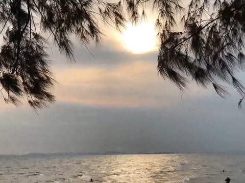 在夕阳下拍照 · 免费素材视频