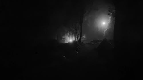 一个人独自走在黑暗的森林里 · 免费素材视频