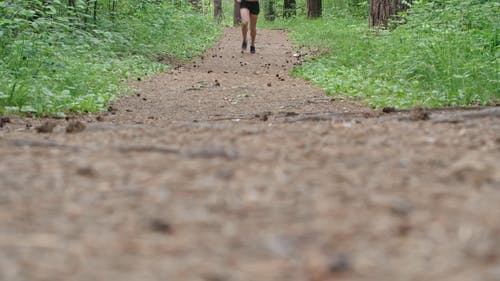 一个人在森林里的越野越野跑 · 免费素材视频