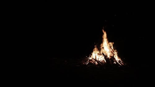篝火在夜晚的黑暗中提供光明 · 免费素材视频