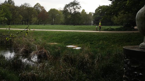 有关修剪花草, 伦敦, 公园的免费素材视频