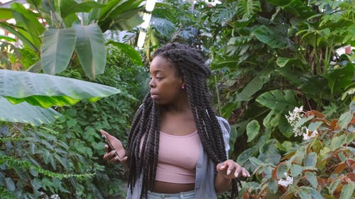 一个女人在花园公园里抚摸植物的叶子 · 免费素材视频