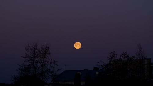 有关birds_flying, 夜空, 明月的免费素材视频