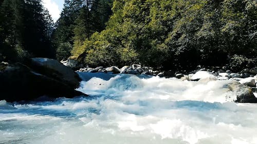 河流的强流 · 免费素材视频