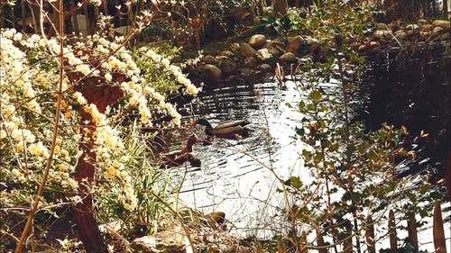 有关岩石, 工厂, 水池的免费素材视频