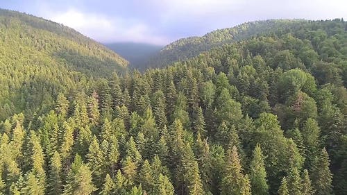 茂密的森林覆盖的山脉 · 免费素材视频