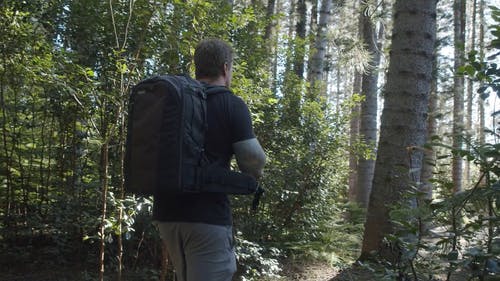 一个背着背包徒步旅行森林的人 · 免费素材视频