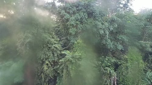 有关失焦, 专注, 影片的免费素材视频