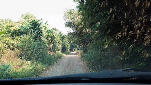 在森林边缘外越野行驶的机动车 · 免费素材视频