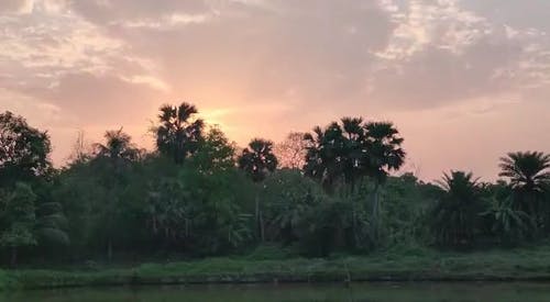 有关声音特效, 天性, 太阳的免费素材视频