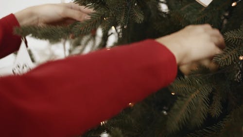 一个女孩在布置圣诞树 · 免费素材视频