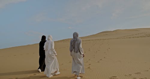 有关后视图, 女性, 户外的免费素材视频