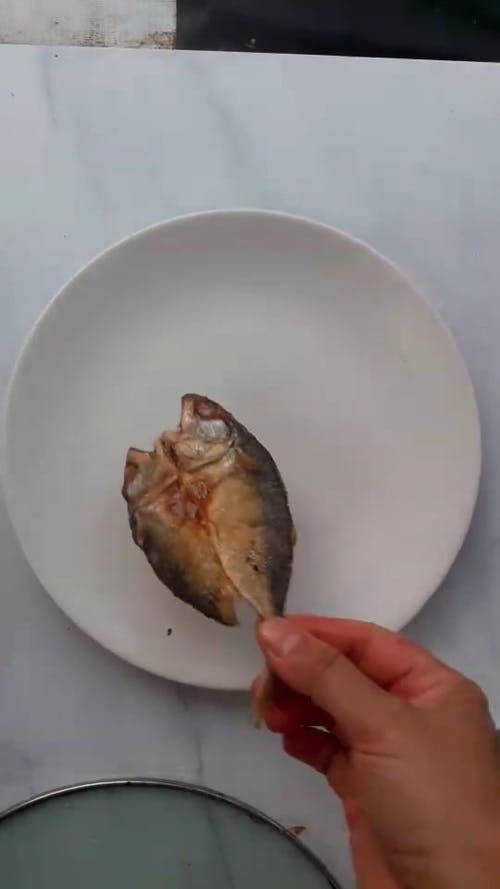 有关俯视图, 停止运动, 垂直视频的免费素材视频